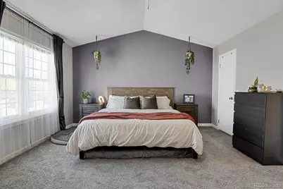 20012 Briarwood Court, Parker, CO 80138 - Photo 22