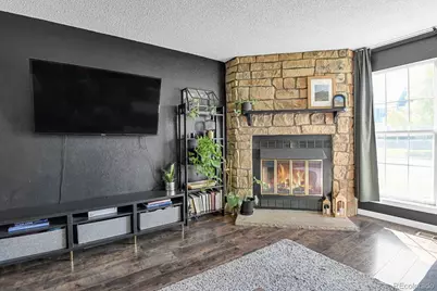 20012 Briarwood Court, Parker, CO 80138 - Photo 10