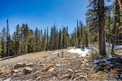 313 Porcupine Road, Fairplay, CO 80440 - Photo 34
