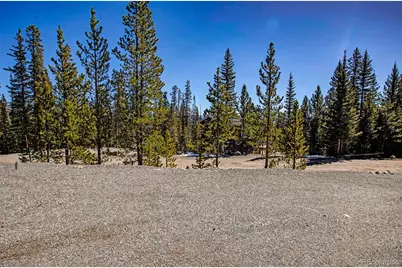 313 Porcupine Road, Fairplay, CO 80440 - Photo 12