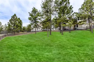 5213 Pinyon Jay Rd, Parker, CO 80134 - Photo 34