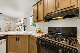 9669 Spruce Mountain Rd, Larkspur, CO 80118 - Photo 12