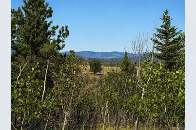 250 Pinto Trail, Como, CO 80432 - Photo 1