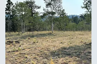 250 Pinto Trail, Como, CO 80432 - Photo 24