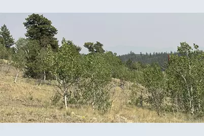 250 Pinto Trail, Como, CO 80432 - Photo 12