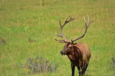 25997 Mountain View Road, Golden, CO 80226 - Photo 20