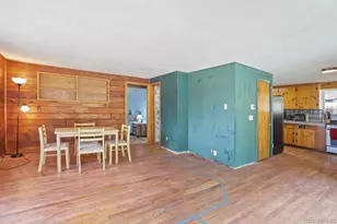 1006 Co Rd 72, Bailey, CO 80421 - Photo 10
