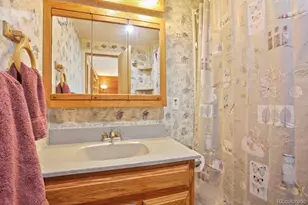 1006 Co Rd 72, Bailey, CO 80421 - Photo 16
