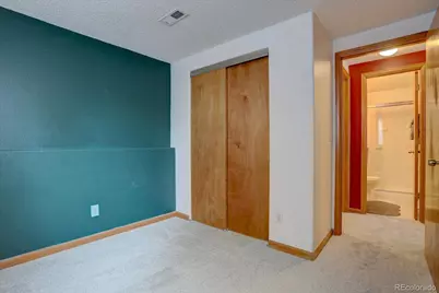 162 Tilbury Avenue, Castle Rock, CO 80104 - Photo 20