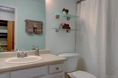 162 Tilbury Avenue, Castle Rock, CO 80104 - Photo 14