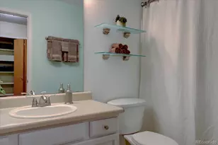 162 Tilbury Ave, Castle Rock, CO 80104 - Photo 14