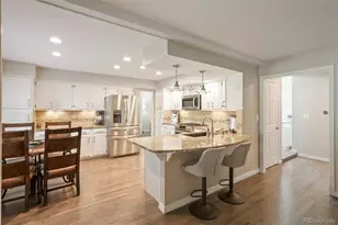 9061 Sunset Ridge Ct, Highlands Ranch, CO 80126 - Photo 12