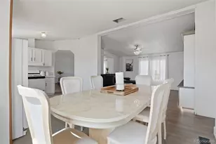 424 Zante Way, Lochbuie, CO 80603 - Photo 24