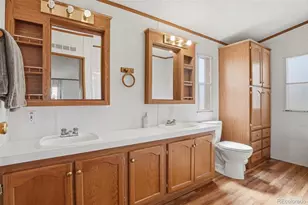 424 Zante Way, Lochbuie, CO 80603 - Photo 28