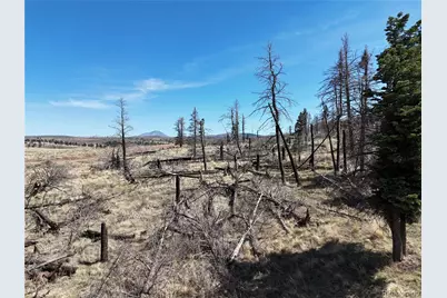 Lot 506 Forbes Park Road, Fort Garland, CO 81133 - Photo 8