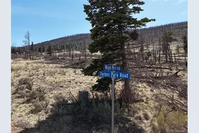 Lot 506 Forbes Park Road, Fort Garland, CO 81133 - Photo 1