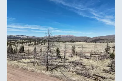 Lot 506 Forbes Park Road, Fort Garland, CO 81133 - Photo 2