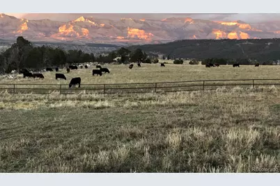 10497 54 7/10 Road, Molina, CO 81646 - Photo 38