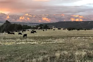 10497 54 7/10 Rd, Molina, CO 81646 - Photo 38