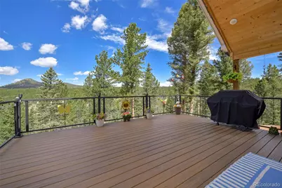 100 Wildcat Creek Drive, Florissant, CO 80816 - Photo 4