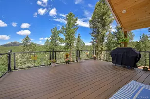 100 Wildcat Creek Dr, Florissant, CO 80816 - Photo 4