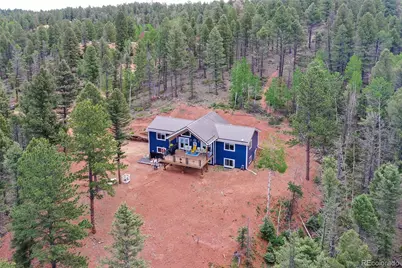 100 Wildcat Creek Drive, Florissant, CO 80816 - Photo 44