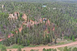 100 Wildcat Creek Dr, Florissant, CO 80816 - Photo 34