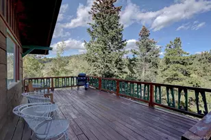 255 Saddlestring Rd, Bailey, CO 80421 - Photo 24