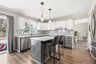 9205 Madras Ct, Highlands Ranch, CO 80130 - Photo 12