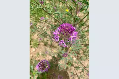 12550 9, Canon City, CO 81212 - Photo 16