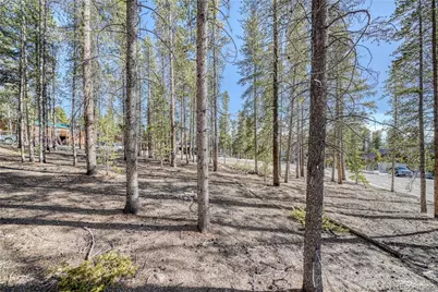 12 Imogene Circle, Leadville, CO 80461 - Photo 16