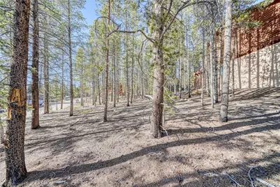 12 Imogene Circle, Leadville, CO 80461 - Photo 20