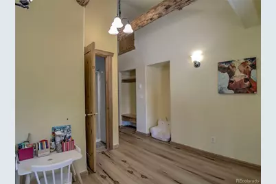 46 Singleton Road, Alma, CO 80420 - Photo 26