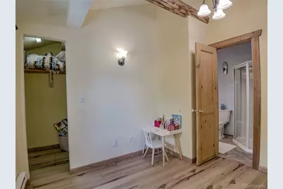 46 Singleton Road, Alma, CO 80420 - Photo 24