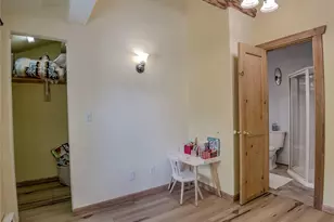 46 Singleton Rd, Alma, CO 80420 - Photo 24