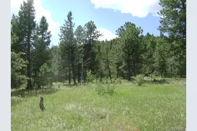 1504 County Road 43, Bailey, CO 80421 - Photo 1