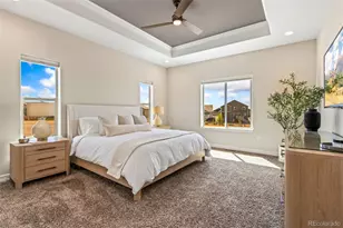 5531 Teeling Ct, Timnath, CO 80547 - Photo 22