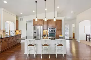 3748 Starry Night Loop, Castle Rock, CO 80109 - Photo 8