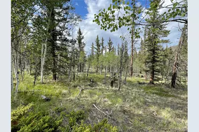 80 Haida Way, Jefferson, CO 80456 - Photo 4