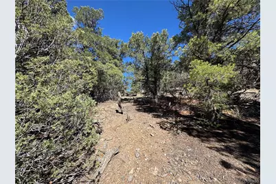 Tr-143 18th Trail, Cotopaxi, CO 81223 - Photo 18