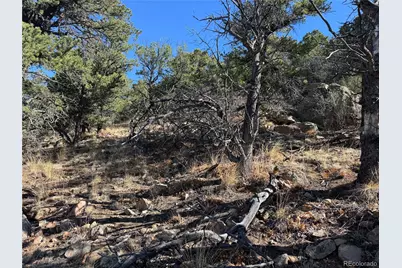 Tr-143 18th Trail, Cotopaxi, CO 81223 - Photo 22