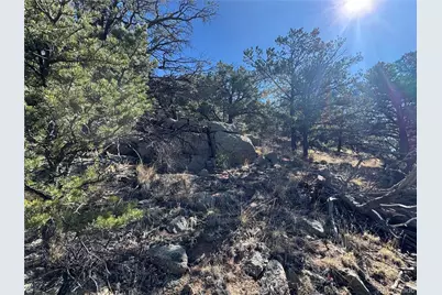 Tr-143 18th Trail, Cotopaxi, CO 81223 - Photo 4