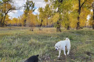 12753 13 5, Antonito, CO 81120 - Photo 34