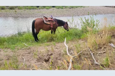 12753 13.5, Antonito, CO 81120 - Photo 12