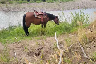 12753 13 5, Antonito, CO 81120 - Photo 12