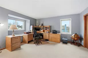 9342 Cornell Cir, Highlands Ranch, CO 80130 - Photo 42