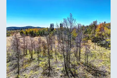 74 Antelope Circle, Como, CO 80456 - Photo 6