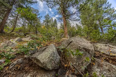 9489 S Turkey Creek Road, Morrison, CO 80465 - Photo 8