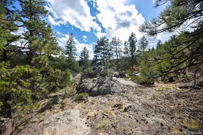 9489 S Turkey Creek Road, Morrison, CO 80465 - Photo 18