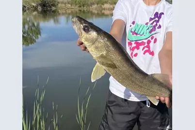 4791 County Road 24 3/4, Longmont, CO 80504 - Photo 4